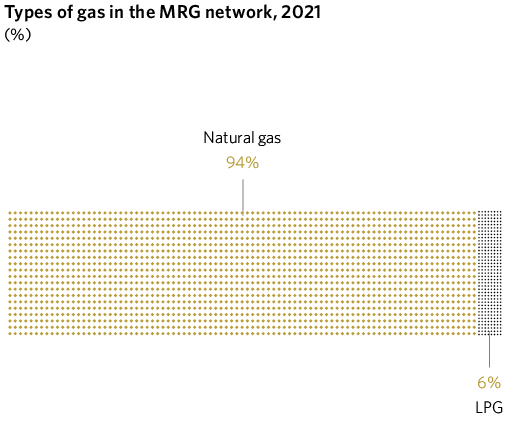 Types of gas in the MRG network, 2021